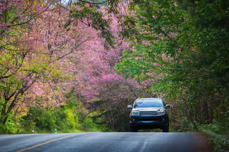 Spring Car Care Tips That Pay Off at the Pump