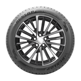 03-10022158-Dunlop-Blue Response A/S-245/40R19-Tire-Image03