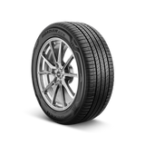 01-16583nxk-Nexen-Roadian GTX-235/55R19-Tire-Image01
