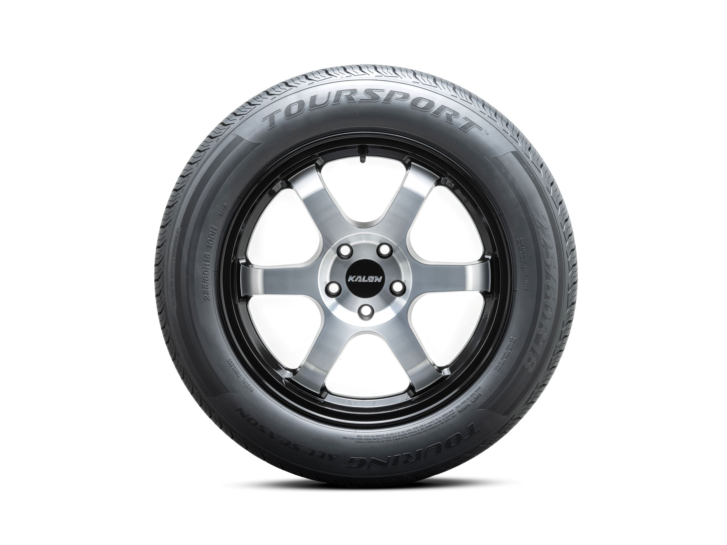 225/65R17 TourSport Touring All Season 102H BSW SL 2256517 225 65