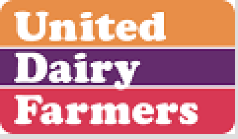 UDF Logo