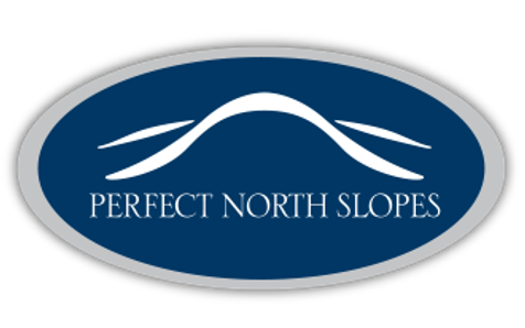 Perfect North Logo